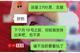 麻阳专业讨债公司有哪些核心服务？